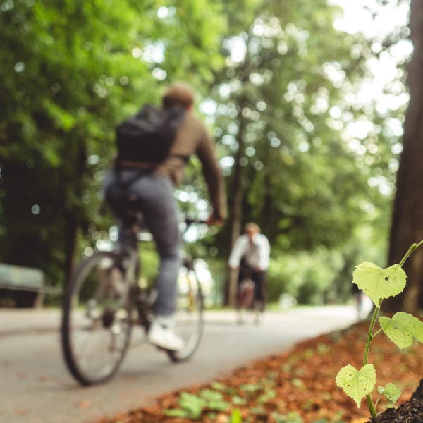Rutas en Bicicleta